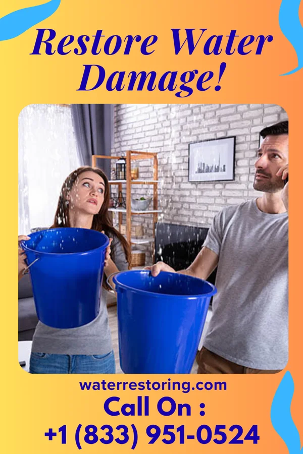 water restoration National Extraction Inc Sewickley Hills