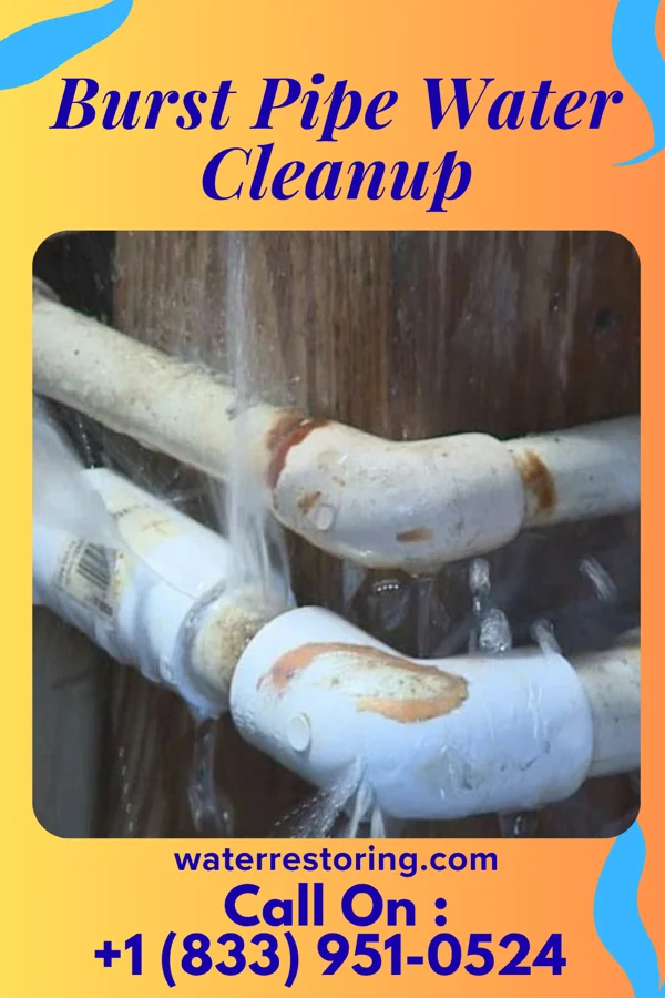 Burst Pipe Water Cleanup in Sewickley Hills, PA