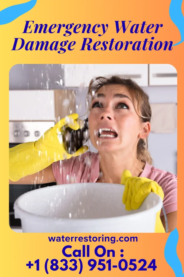 Emergency Water Damage Restoration in Sewickley Hills, PA