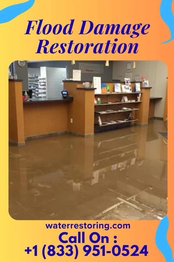 Flood Damage Restoration in Sewickley Hills, PA