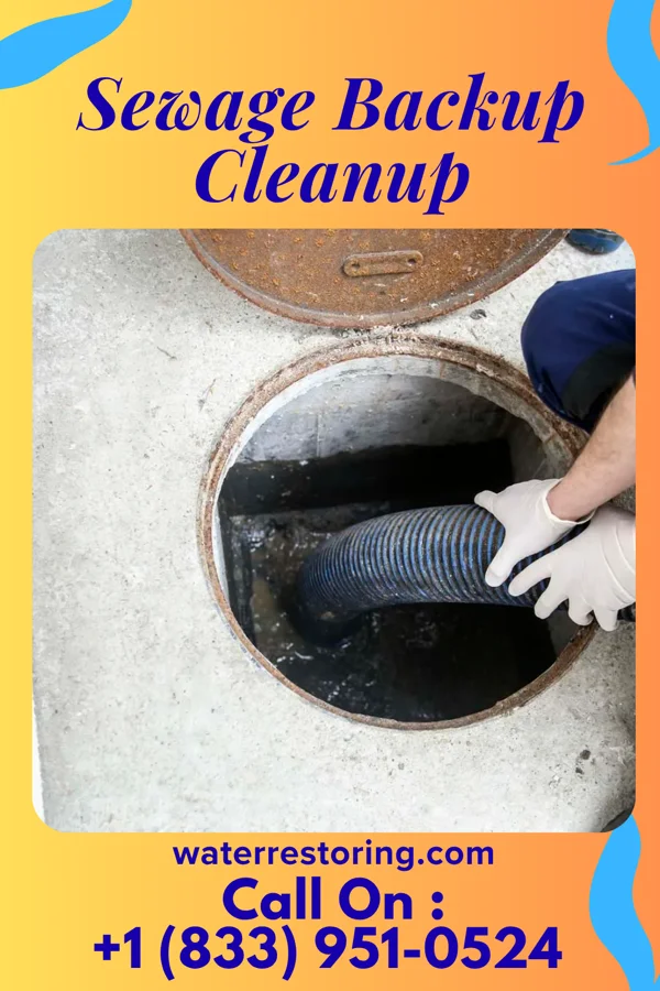 Sewage Backup Cleanup in Sewickley Hills, PA