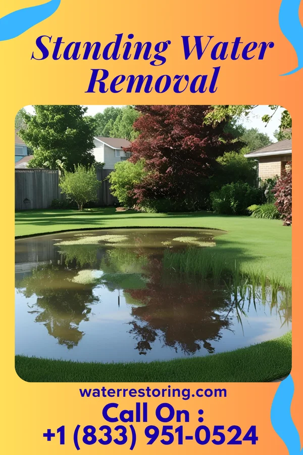 Standing Water Removal in Sewickley Hills, PA
